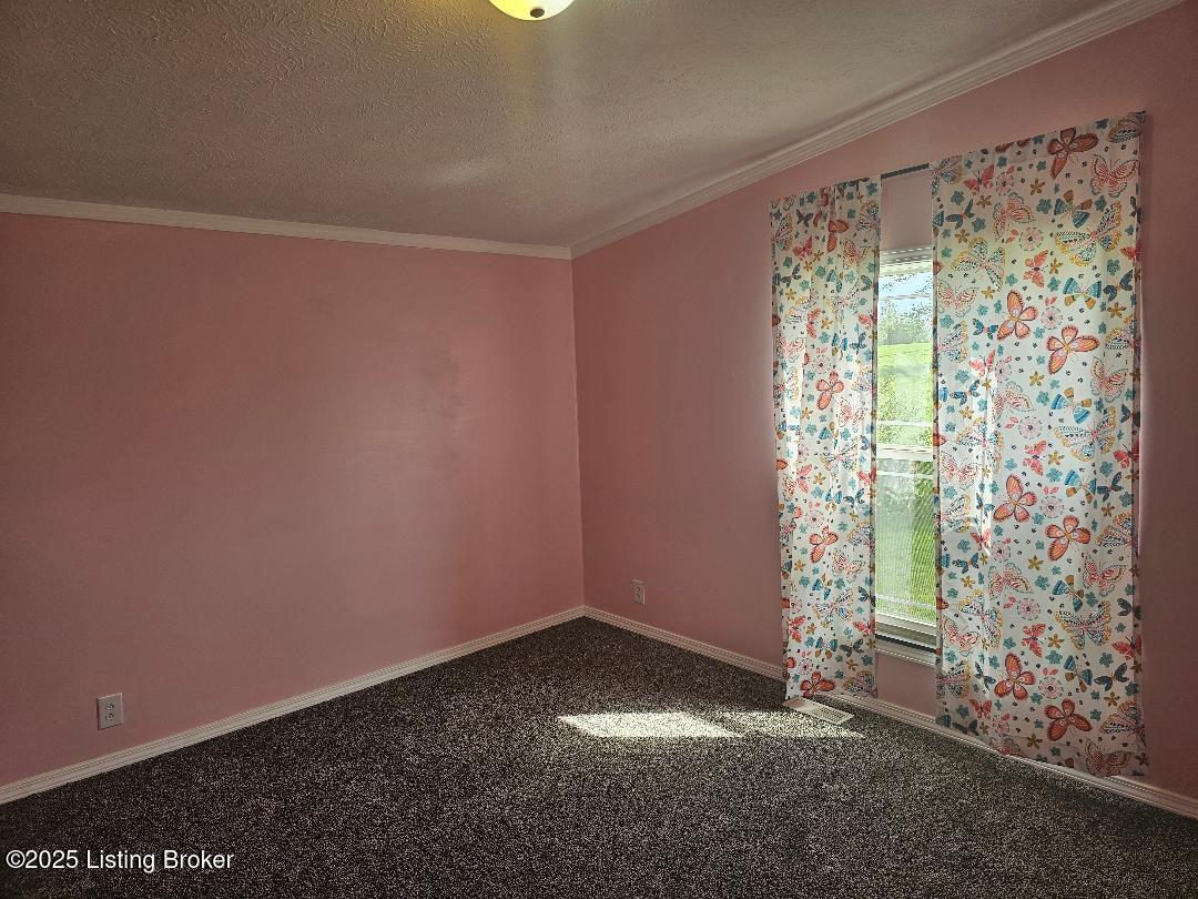 48 Donovan Hill Rd, Bloomfield, Kentucky image 15