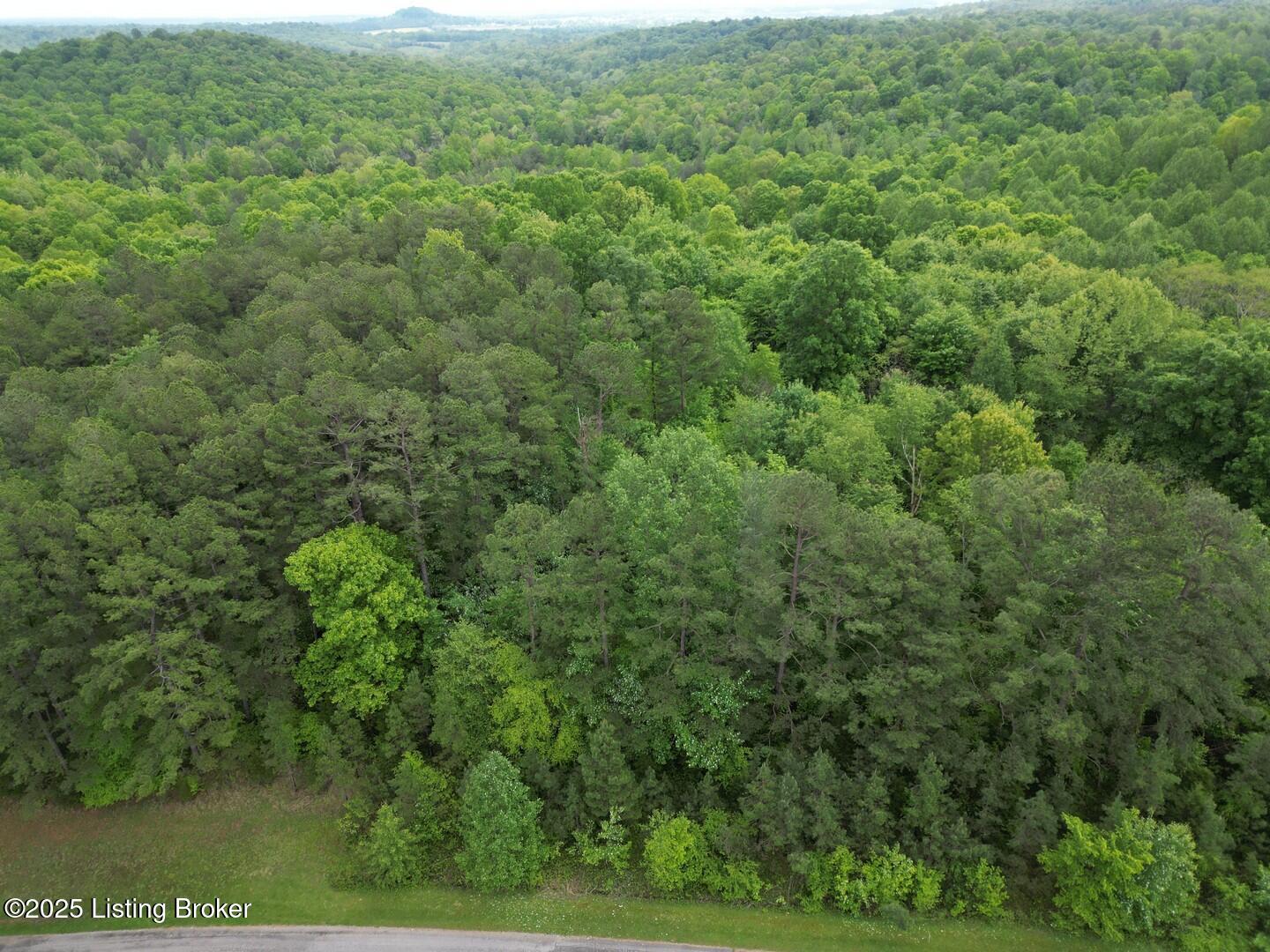 Lot 8 Duvall Rd, Caneyville, Pennsylvania image 5