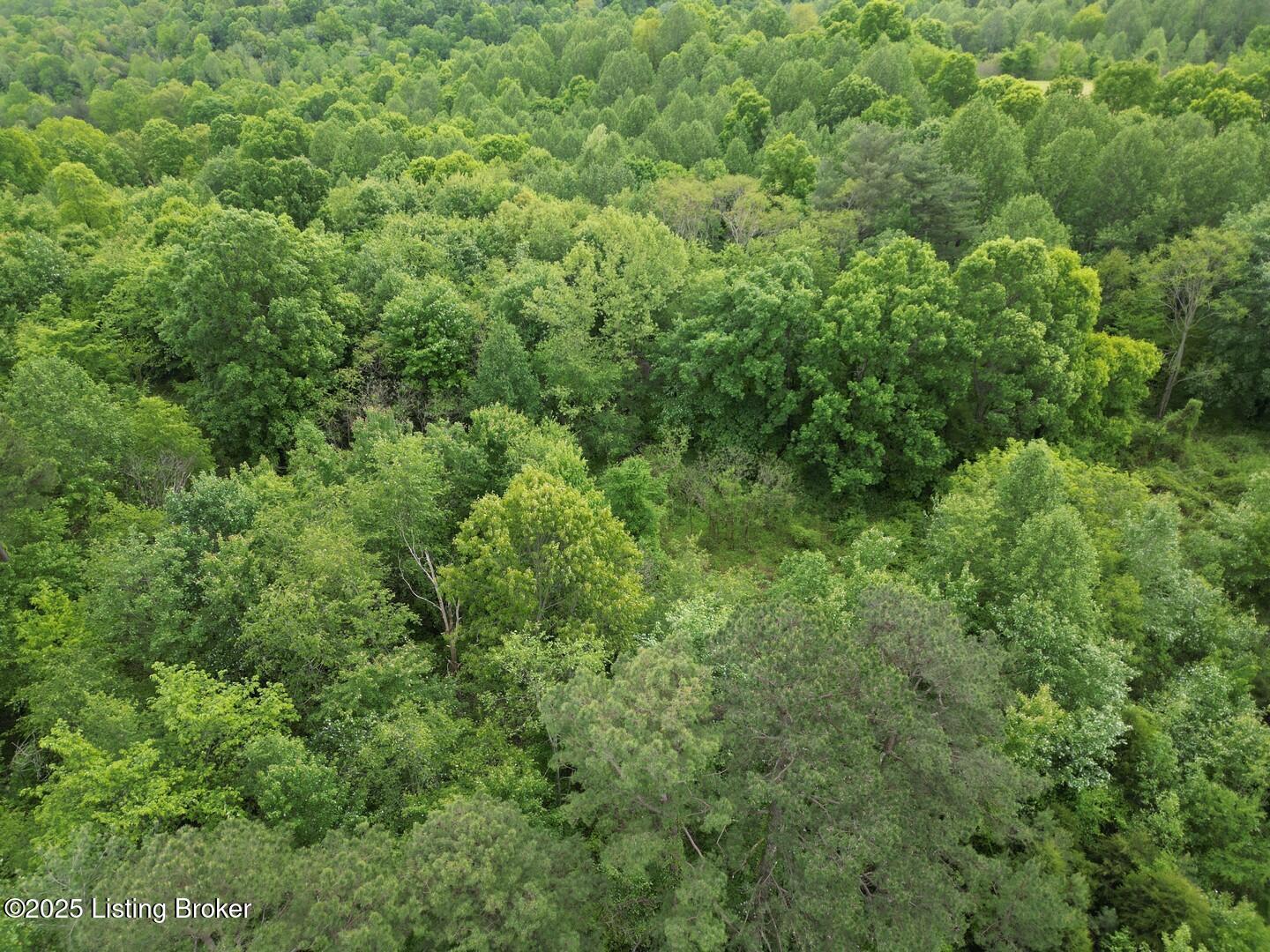 Lot 8 Duvall Rd, Caneyville, Pennsylvania image 3