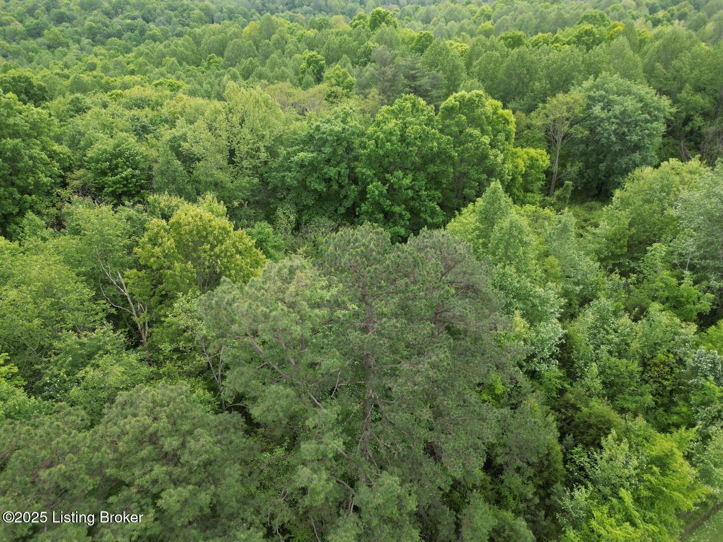 Lot 8 Duvall Rd, Caneyville, Pennsylvania image 2