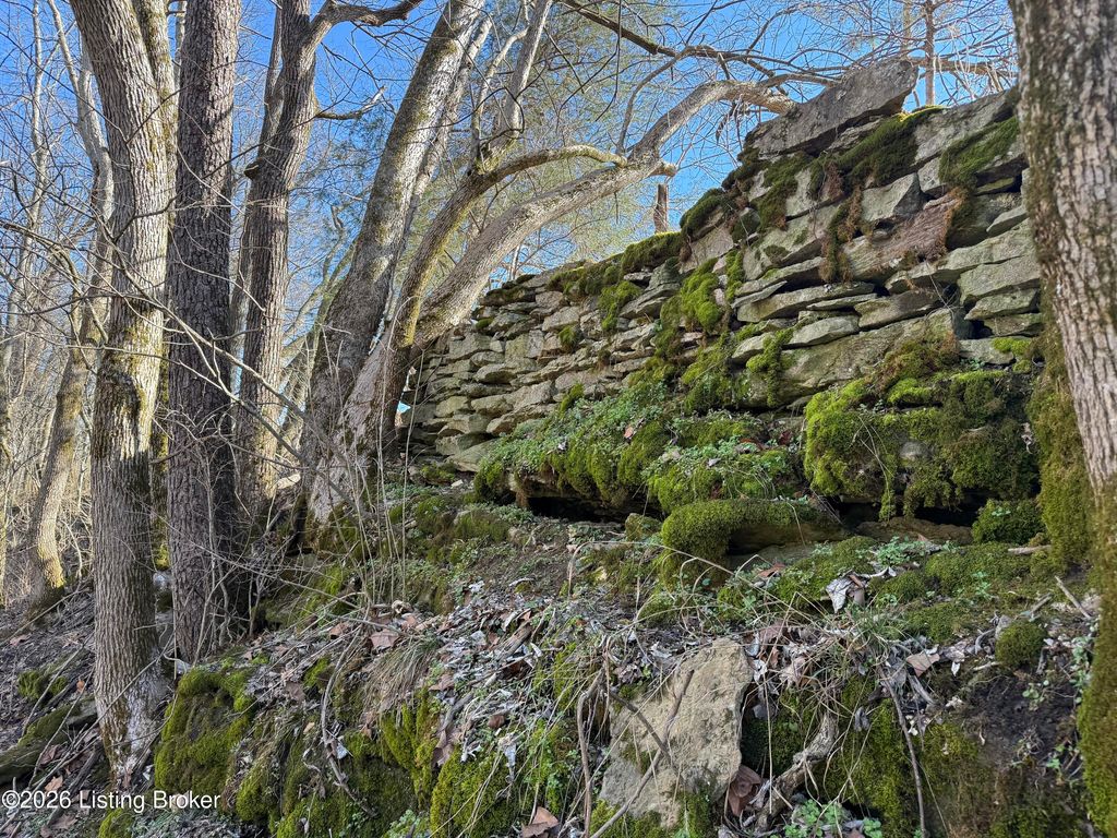 Photo of 1255 Mike Brown Ln, Taylorsville, KY 40071 (MLS # 1709568)