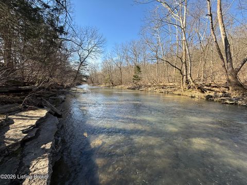 Vacant Land For Sale - 1255 Mike Brown Ln<br/> Spencer County, Taylorsville, KY 40071