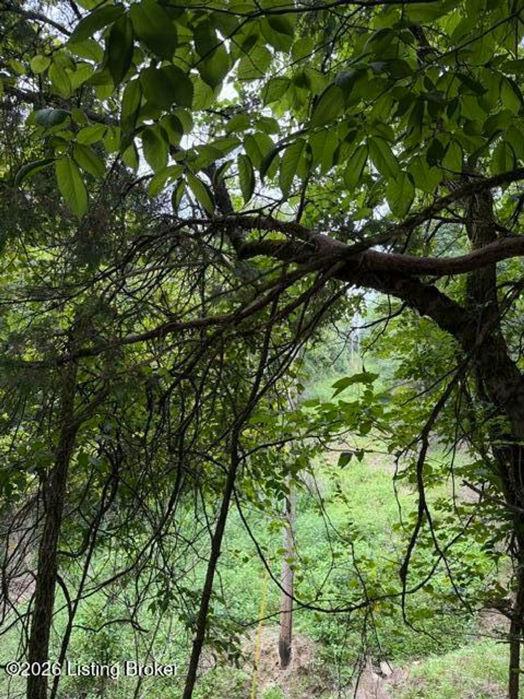 Photo of 291-292 Ponder Dr #291-292, Bagdad, KY 40003 (MLS # 1724588)