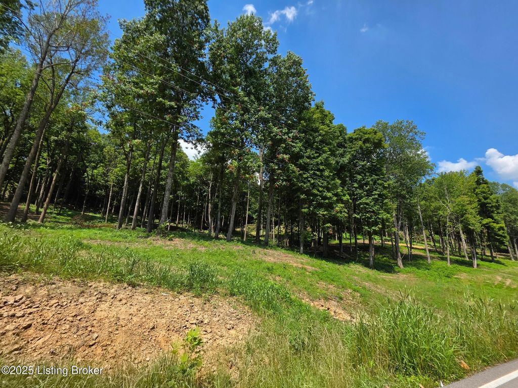 Photo of 4 Cave Creek Rd, Falls Of Rough, KY 40119 (MLS # 1707311)
