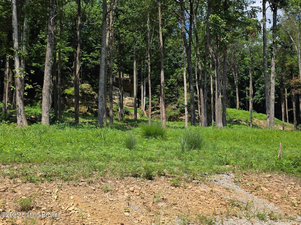Photo of 4 Cave Creek Rd, Falls Of Rough, KY 40119 (MLS # 1707311)
