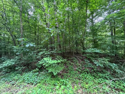 Vacant Land For Sale - 259 260 26 Poplar Cir<br/> New Haven, KY 40051