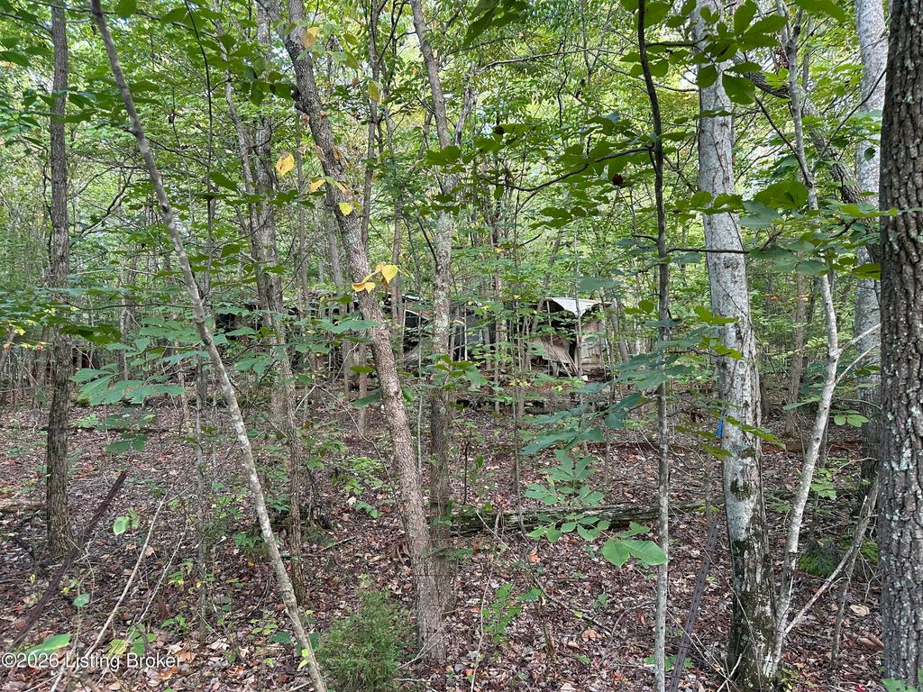Photo of 16 lots Cherokee Trail, Nancy, KY 42544 (MLS # 1707087)