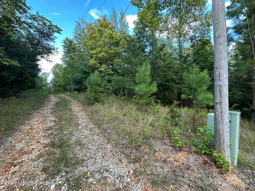 Photo of 16 lots Cherokee Trail, Nancy, KY 42544 (MLS # 1707087)