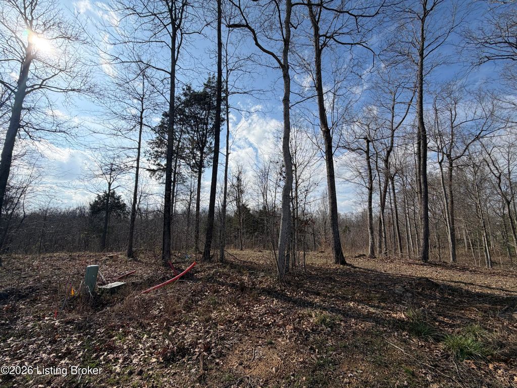 Photo of Lot 28 Wood Creek Dr, Shepherdsville, KY 40165 (MLS # 1711382)