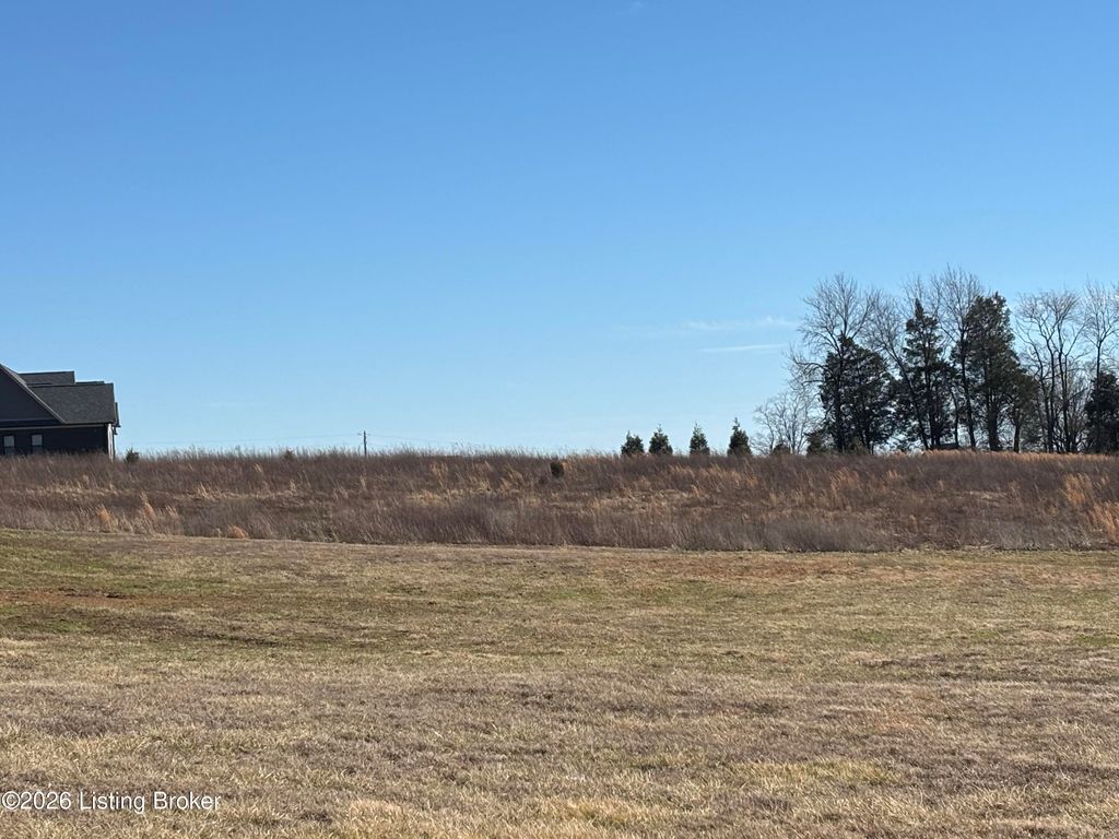 Photo of 0 Duvall Ln, Finchville, KY 40022 (MLS # 1709526)