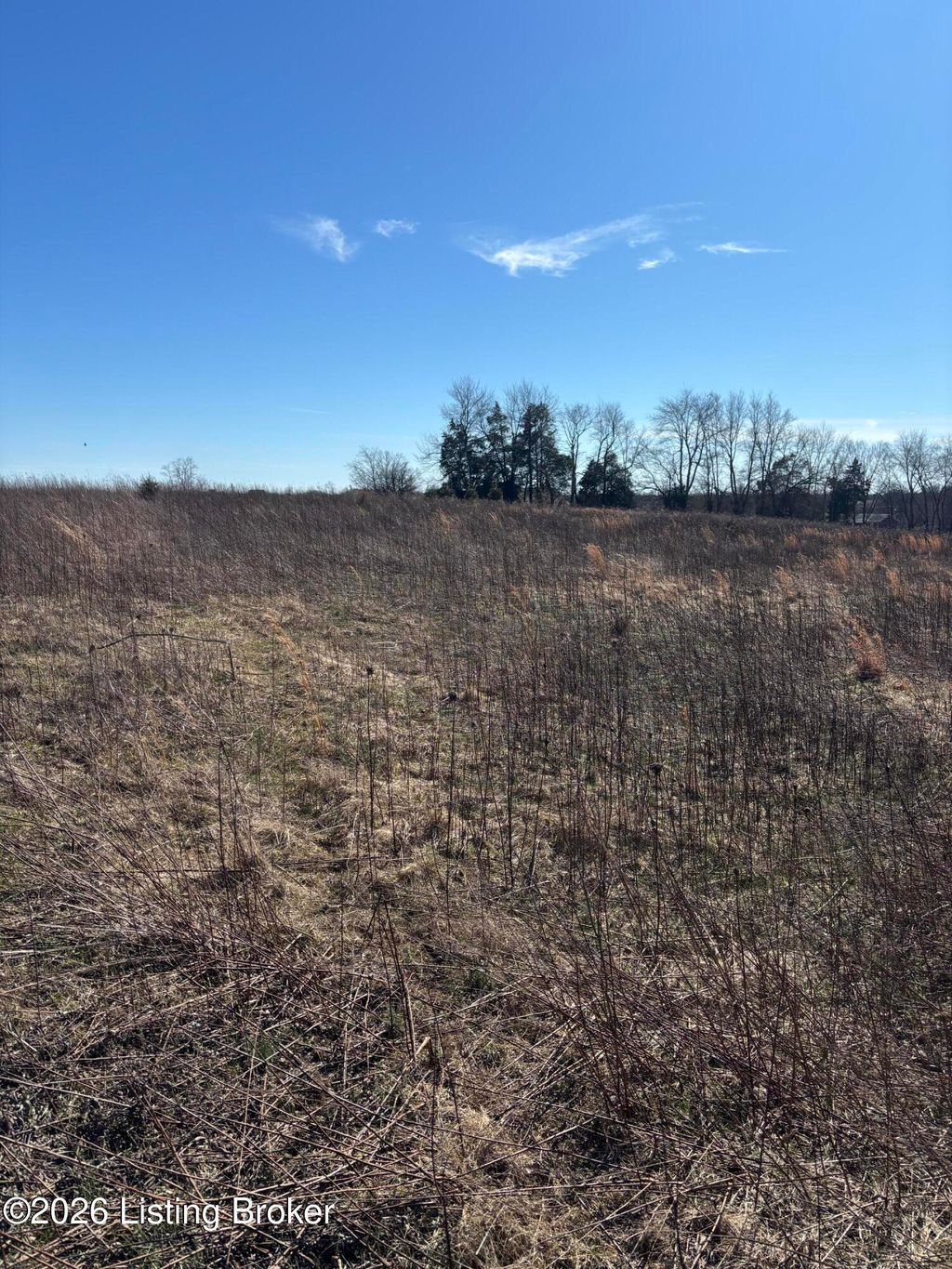 Photo of 0 Duvall Ln, Finchville, KY 40022 (MLS # 1709526)