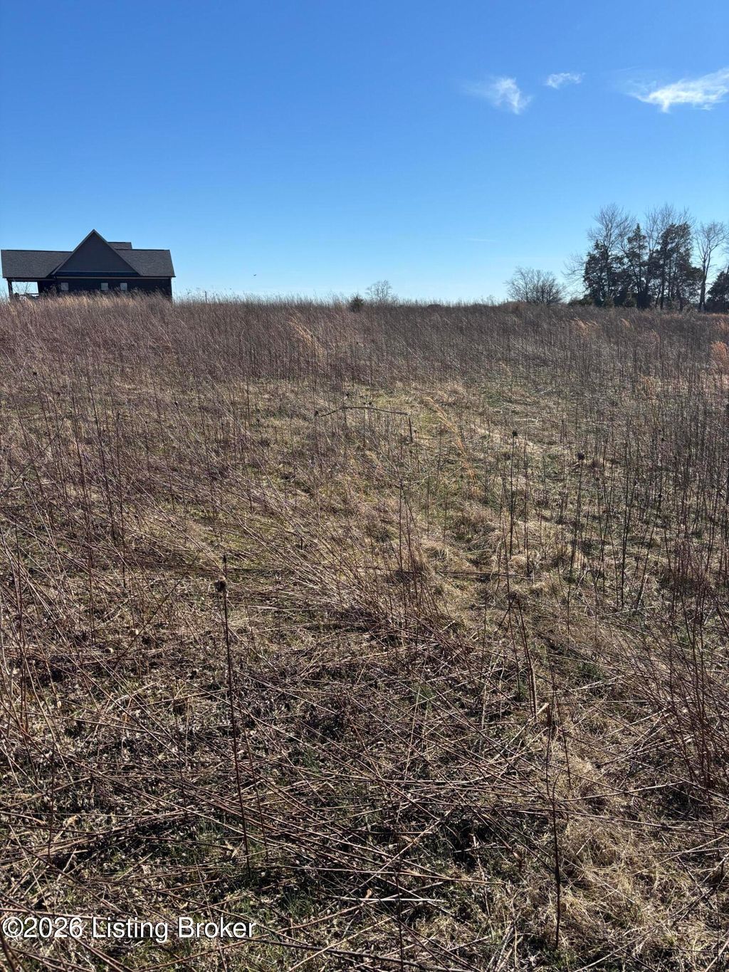Photo of 0 Duvall Ln, Finchville, KY 40022 (MLS # 1709526)