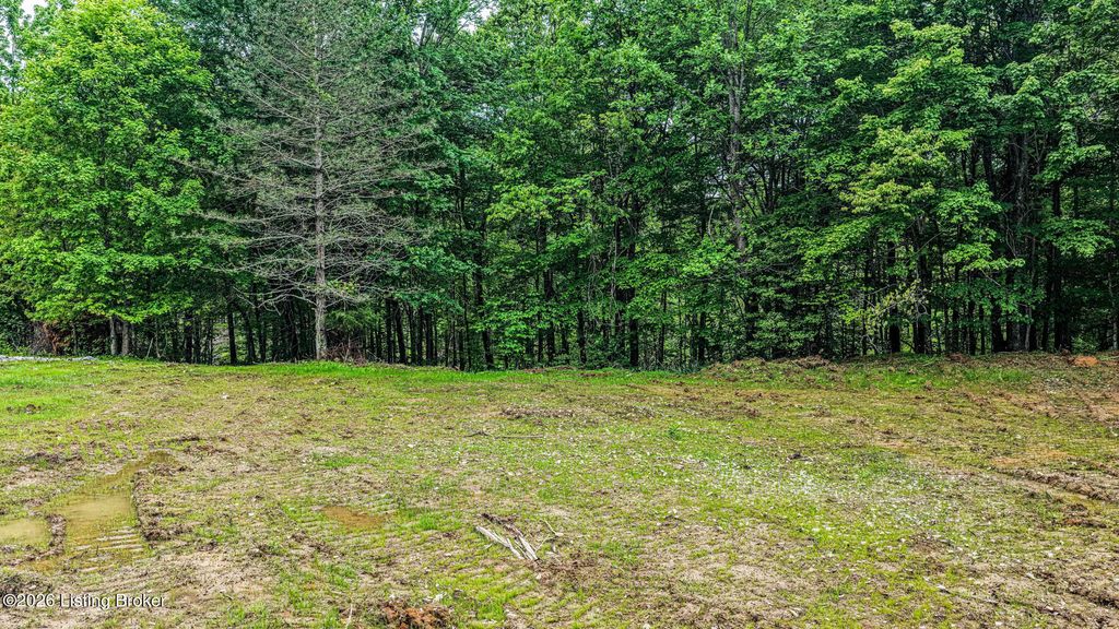 Photo of 2826 Old Askins Rd, Fordsville, KY 42343 (MLS # 1716973)