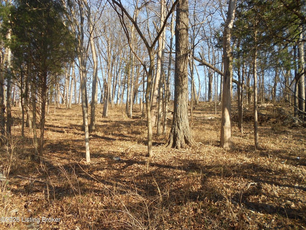 Photo of Bardstown, KY 40004 (MLS # 1706438)