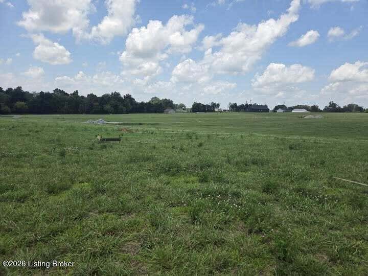 Photo of 290 Blane Dr, Clarkson, KY 42726 (MLS # 1722119)