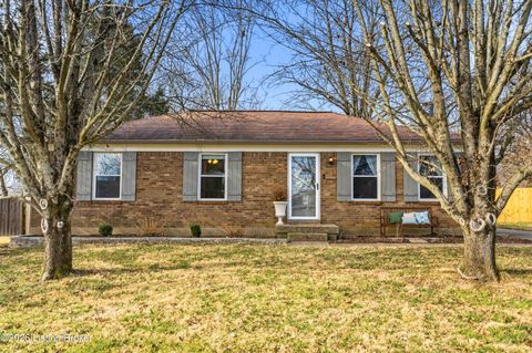 Photo of 6722 Blackhorse Dr, Louisville, KY 40291 (MLS # 1708094)