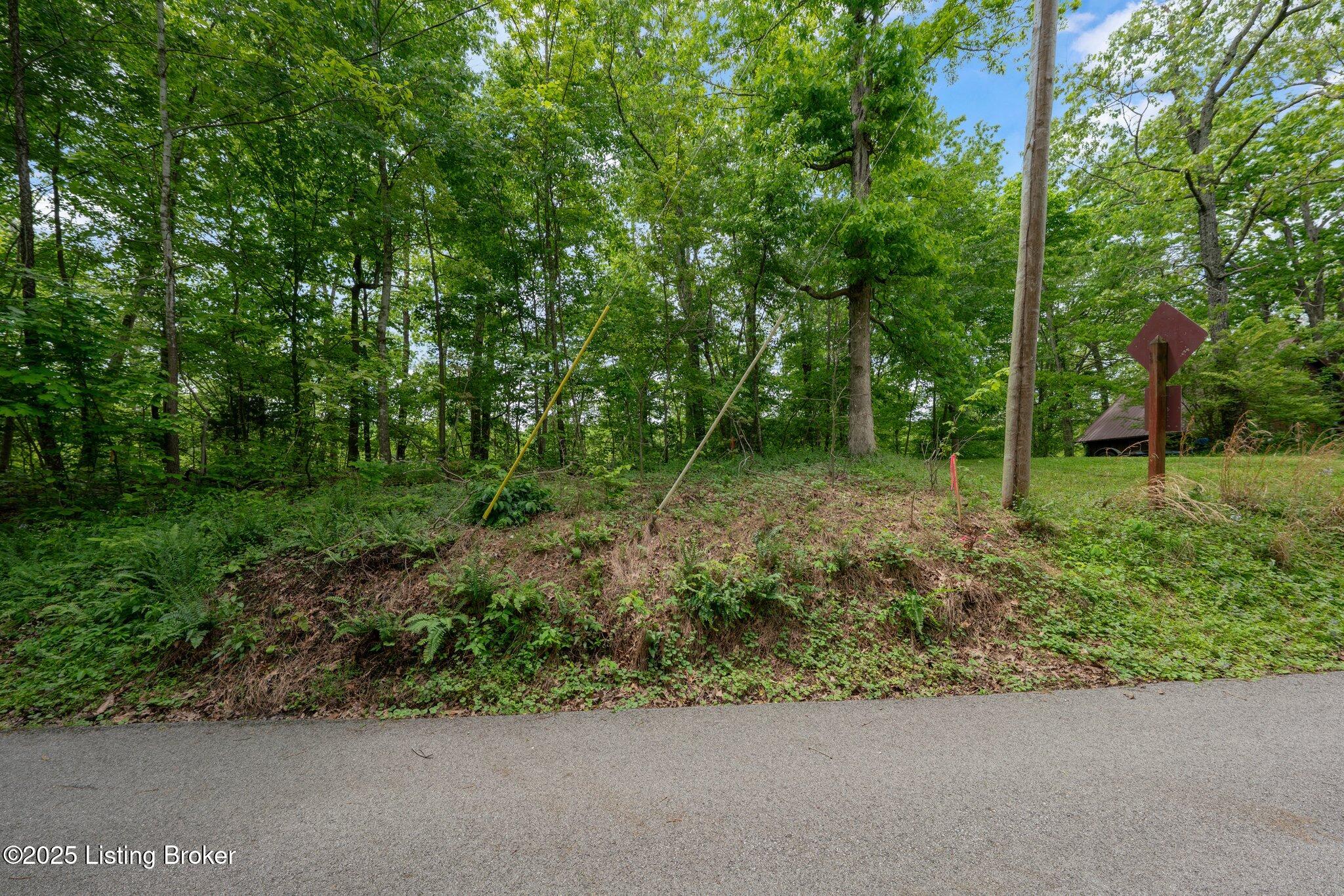 107 E Forest Dr, Leitchfield, Pennsylvania image 5