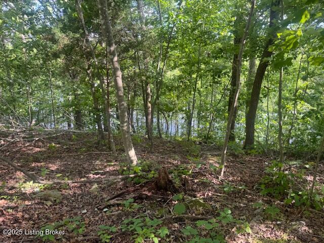 107 E Forest Dr, Leitchfield, Pennsylvania image 8