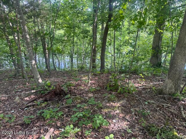 107 E Forest Dr, Leitchfield, Pennsylvania image 6