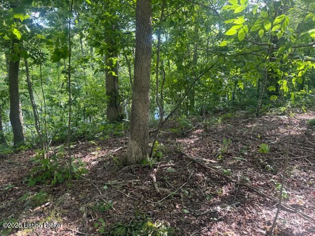 107 E Forest Dr, Leitchfield, Pennsylvania image 7