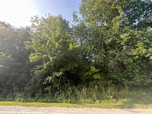 94 MELODY DR, NEW HAVEN, KY 40051 - Image b2fc1b6ce9b3a4f0f7bb2dde52a03963/2394195424