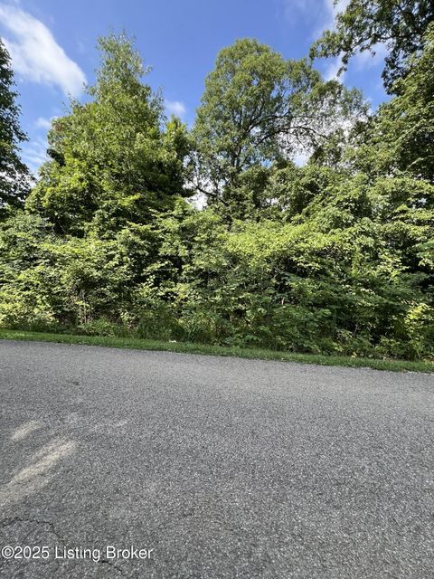 Vacant Land For Sale - 802 Stone Hill Rd<br/> Mammoth Cave, KY 42259