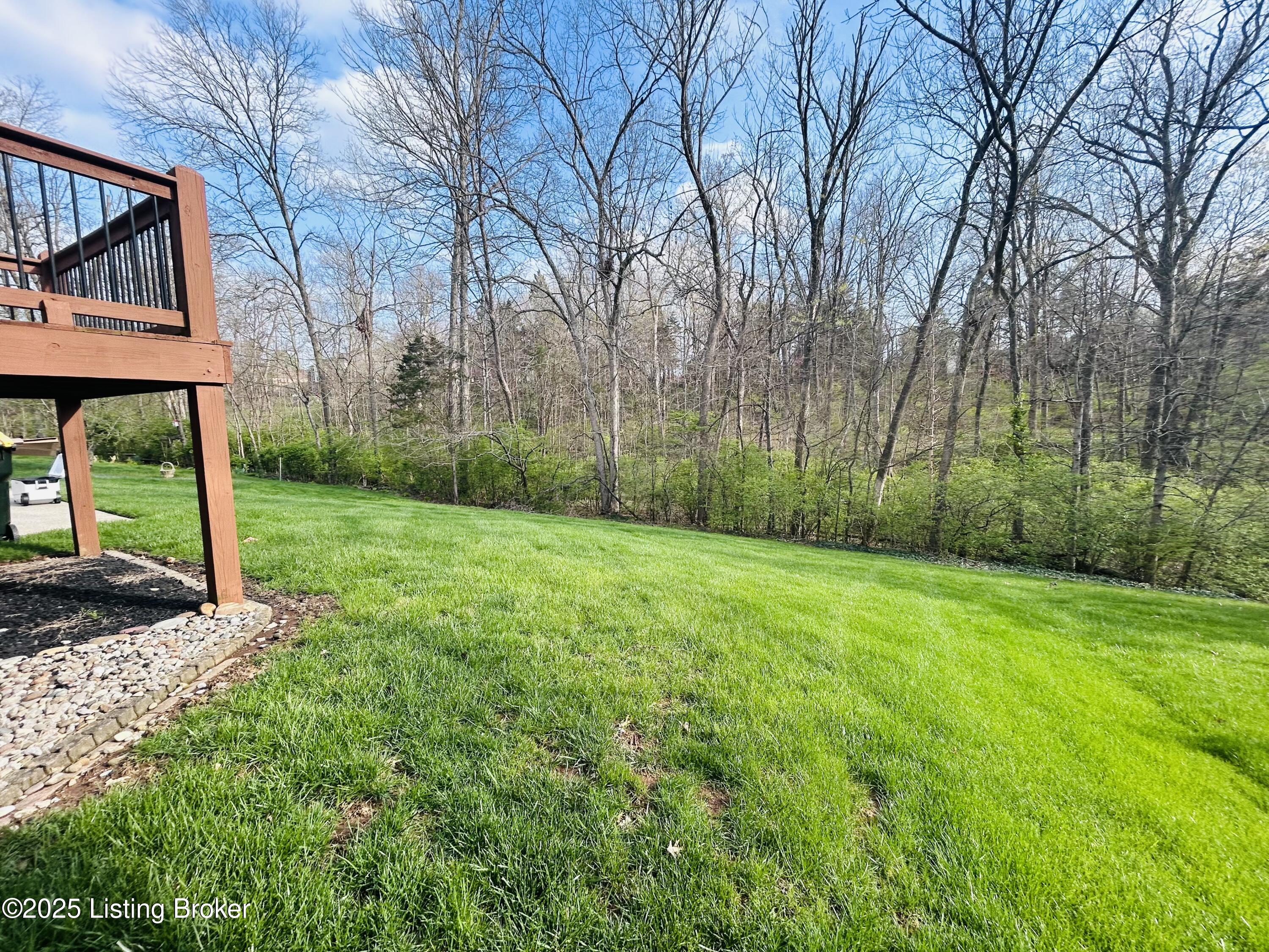 12006 Hudson View Ct, Louisville, Kentucky image 8