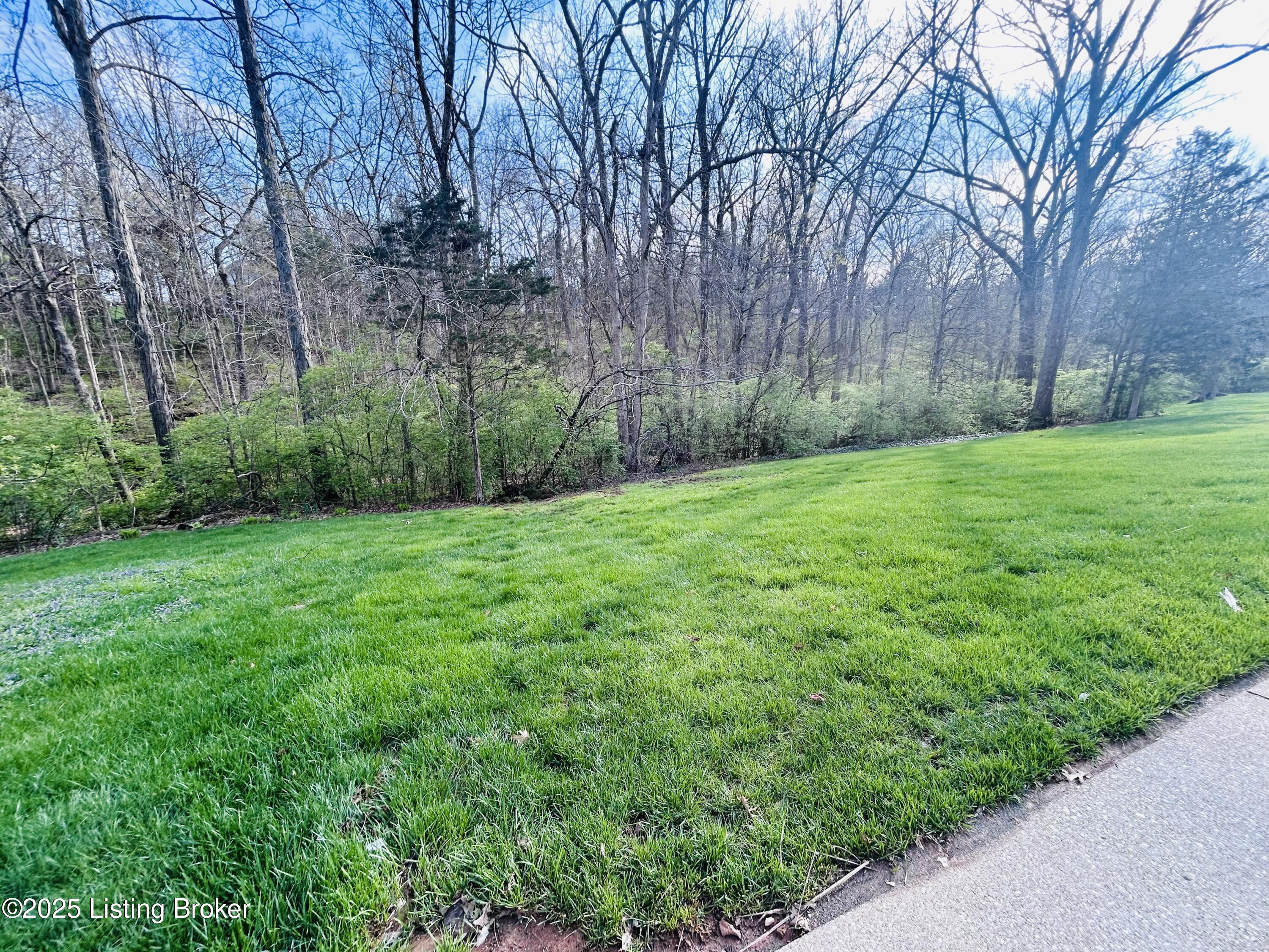 12006 Hudson View Ct, Louisville, Kentucky image 9