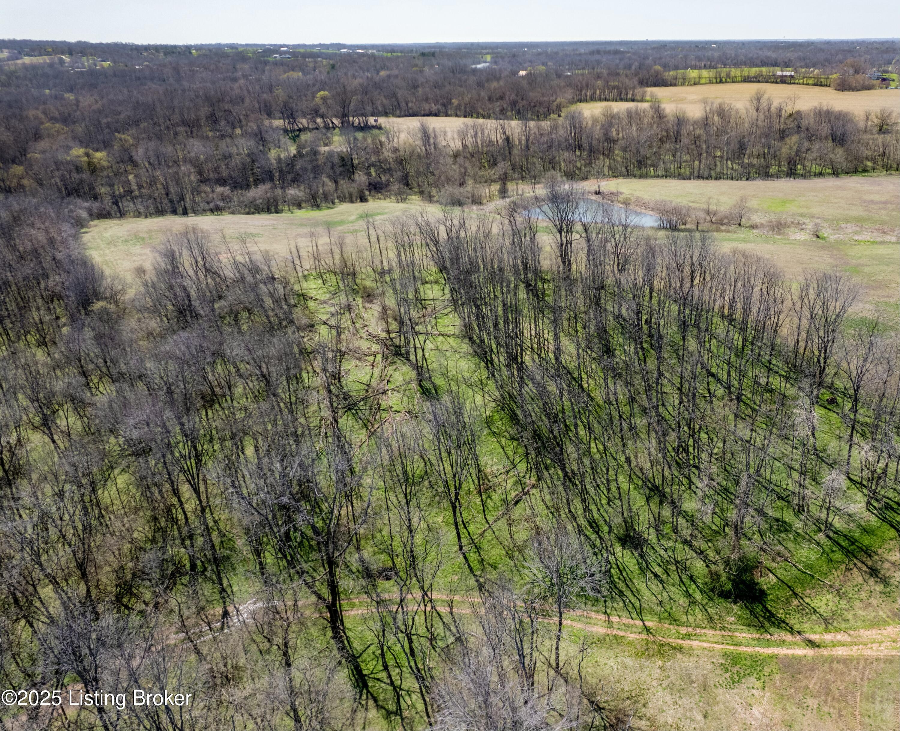 Tract 95 Stallard Springs North, Shelbyville, Kentucky image 8