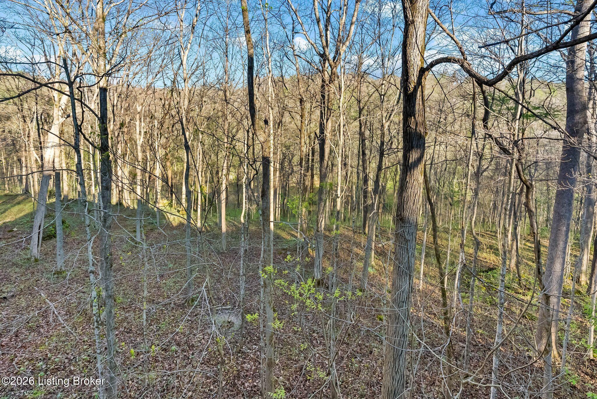 Prospect, Kentucky, 40059, United States, 4 Bedrooms Bedrooms, ,7 BathroomsBathrooms,Residential,Active,2034695