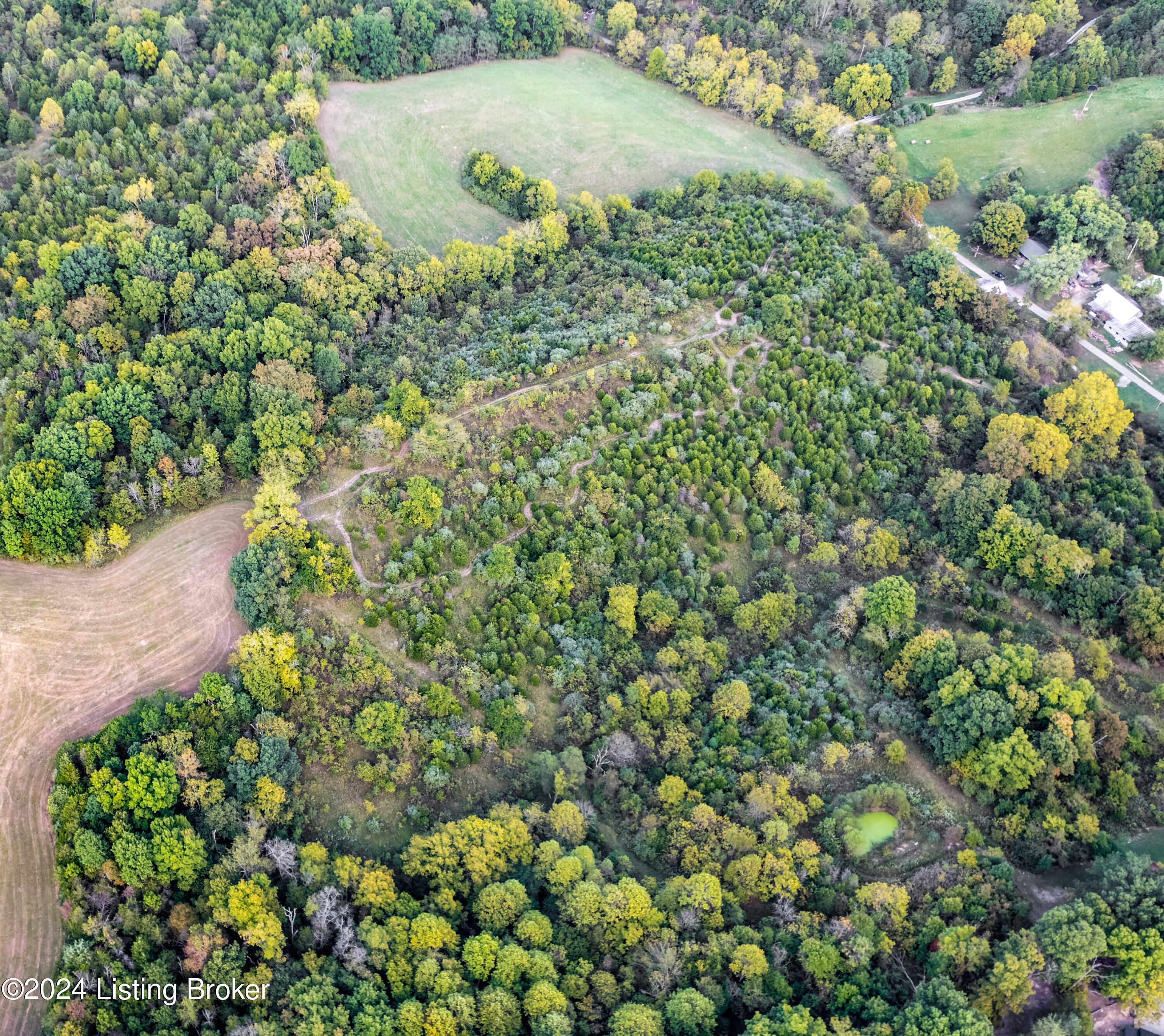 Tr 6B Samples Rd, Waddy, Kentucky image 6