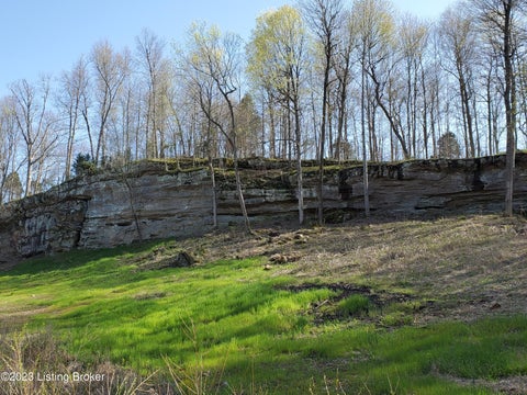Vacant Land For Sale - 0000 Patriot Shores Lane Ln<br/> Westview, KY 40178