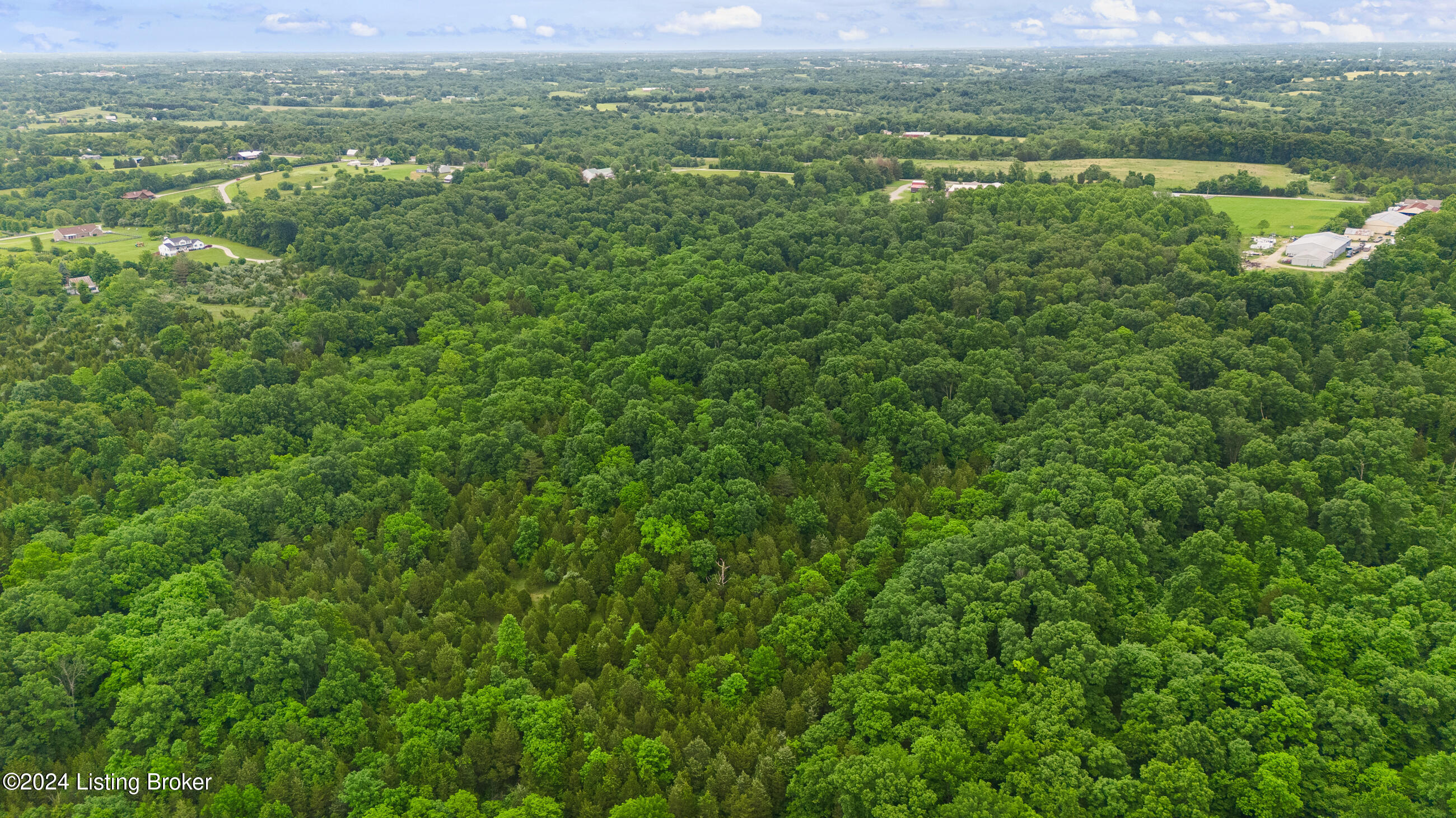 Tract 1 Singleton Ln, La Grange, Kentucky image 1