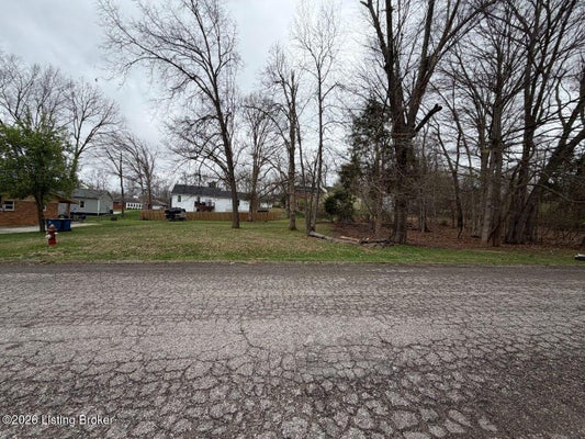 90 OVERLOOK TER, BRANDENBURG, KY 40108 - Image b6c00a6fe53fec4bb21d88168c15f172/834557998