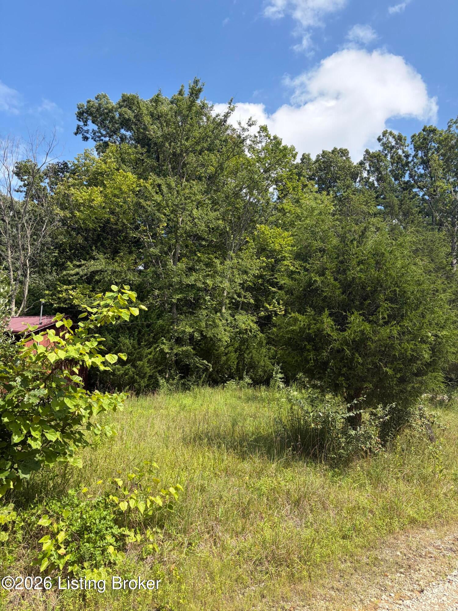 2300 Greer Rd - Photo 2
