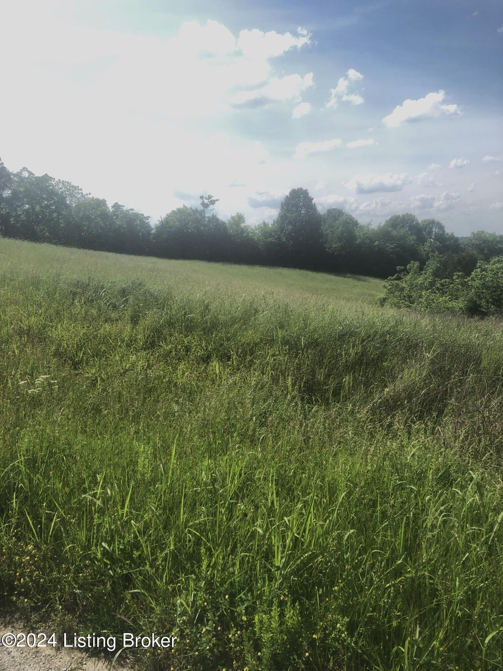 Photo of 5 Chowning Ln, Bloomfield, KY 40008 (MLS # 1713266)