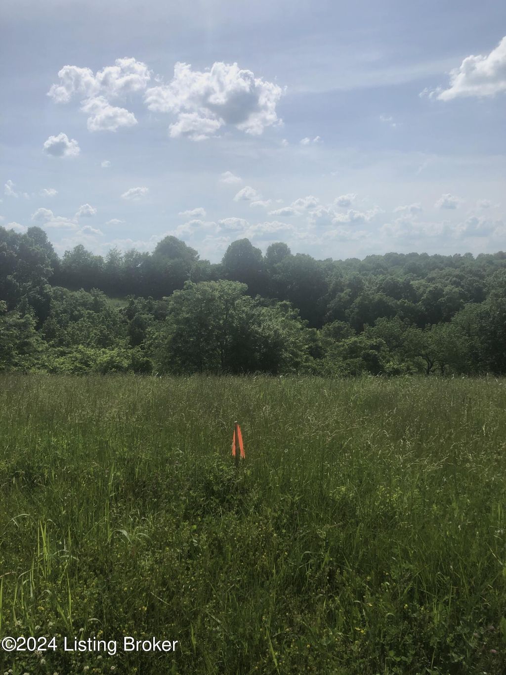 Photo of 5 Chowning Ln, Bloomfield, KY 40008 (MLS # 1713266)