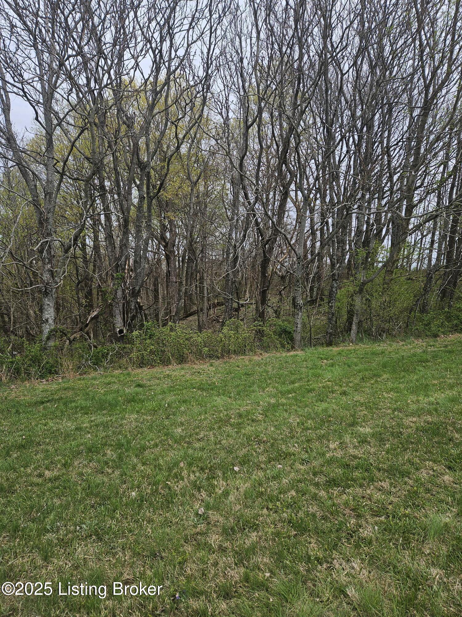 4 River Valley Way, Bedford, Pennsylvania image 5