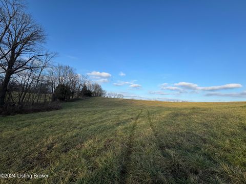 Vacant Land For Sale - LOT 4 Mt. Eden Road<br/> Waddy, KY 40076