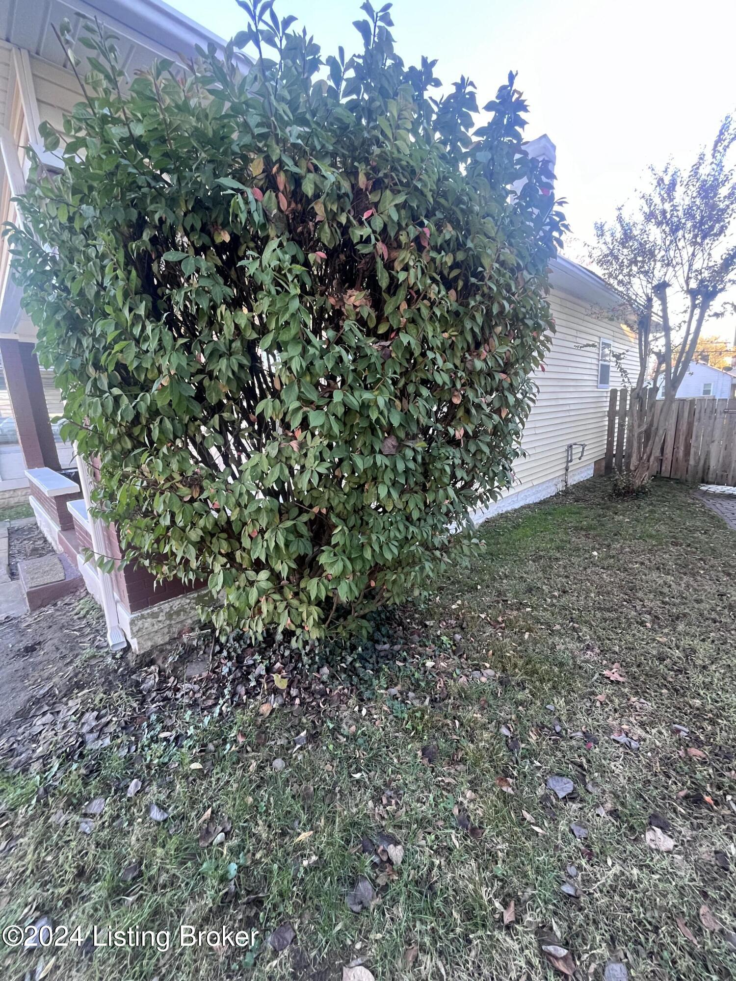 1748 W Gaulbert Ave, Louisville, Kentucky image 20