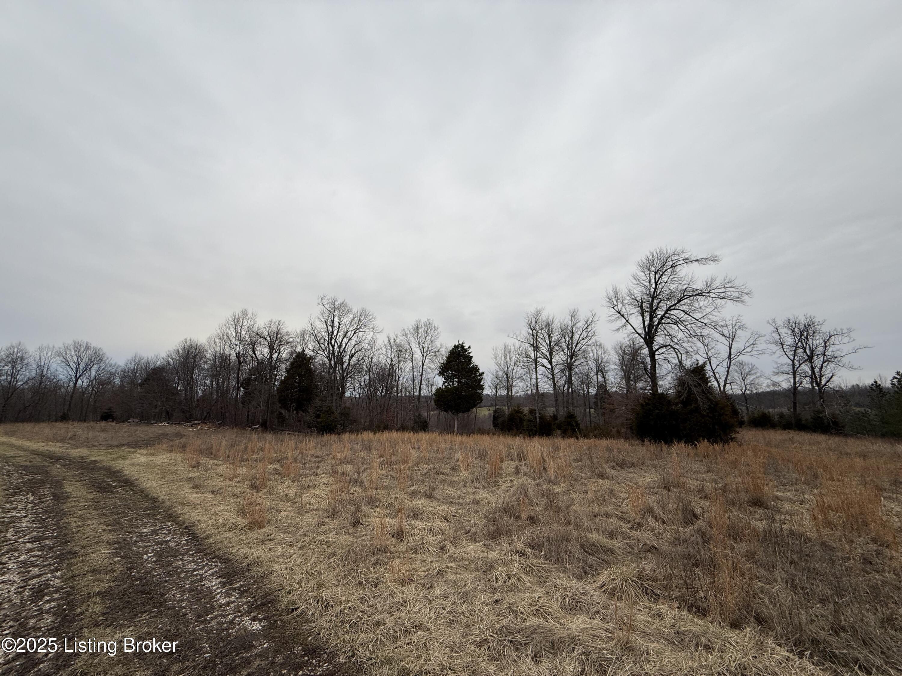 770 Shiloh Ln, Harned, Kentucky image 25