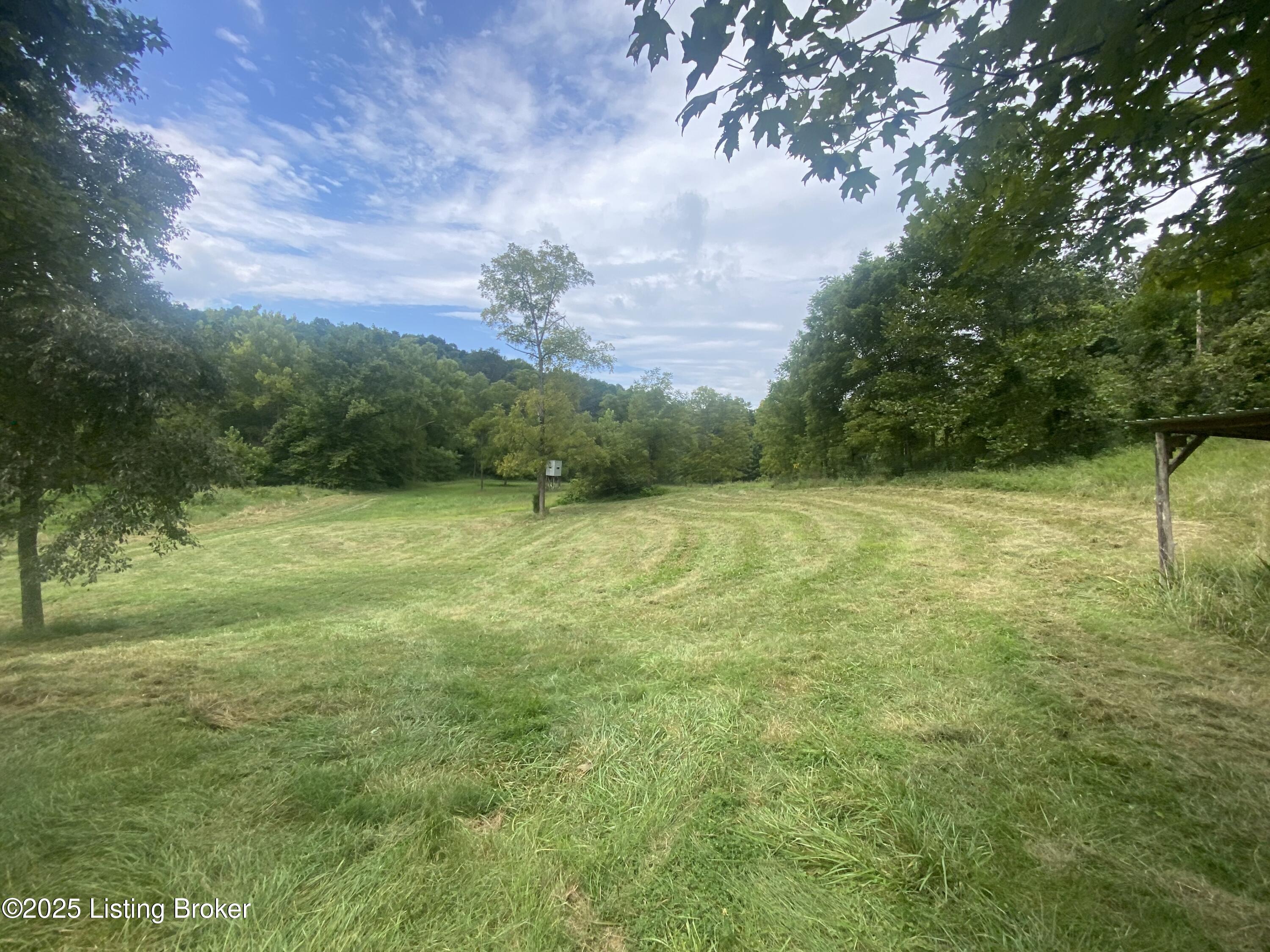 770 Shiloh Ln, Harned, Kentucky image 9