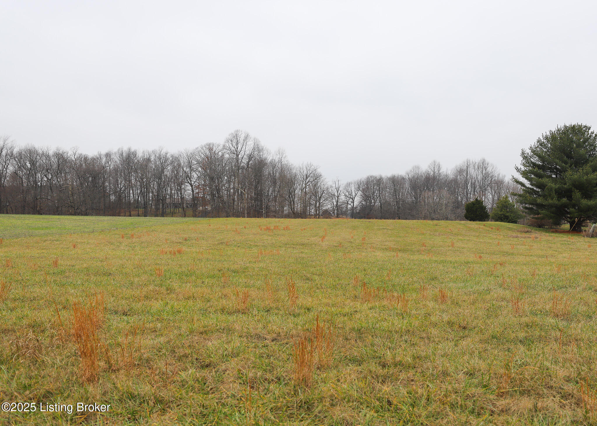 Lot 1D Mudsplash Rd, Glendale, Kentucky image 1