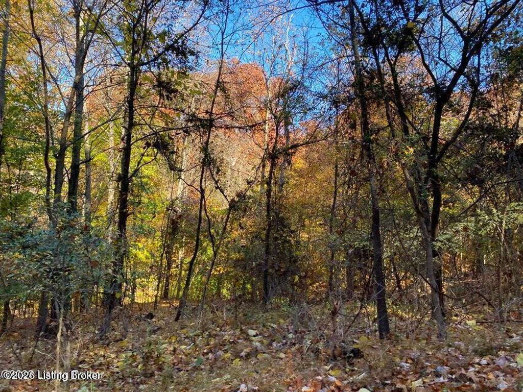 Photo of 41-4 E Audubon Dr #41-4, Shepherdsville, KY 40165 (MLS # 1708620)