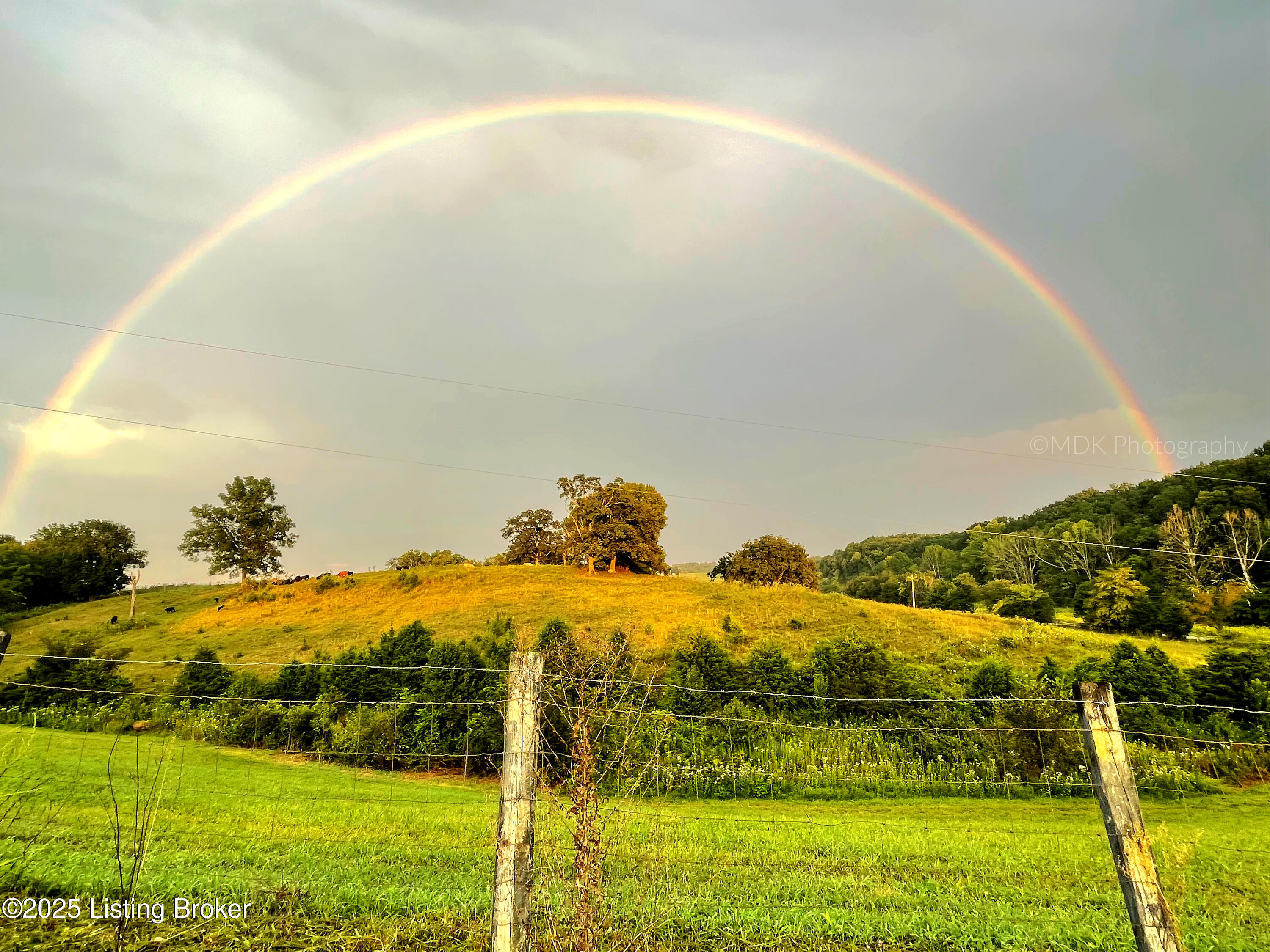 4200 Raywick Rd, Raywick, Kentucky image 25