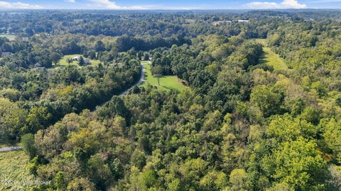 Vacant Land For Sale - LOT 47 Fox Run Rd<br/> Henry County, Pendleton, KY 40055