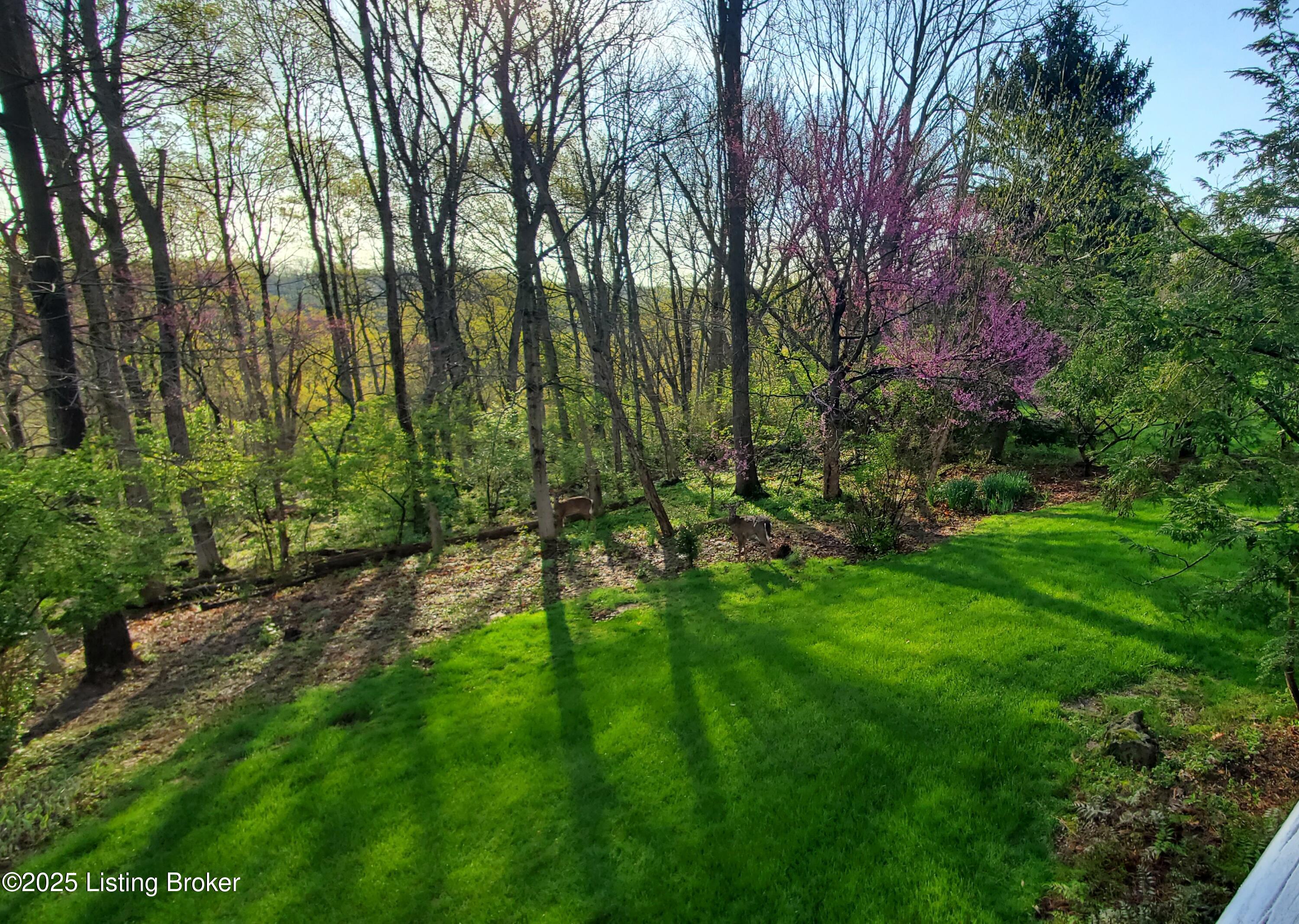 6617 Harrods View Cir, Prospect, Kentucky image 8