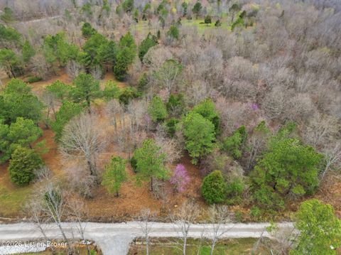 Vacant Land For Sale - LOT 2 Pine Trail<br/> Leitchfield, KY 42754