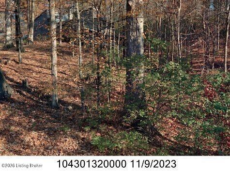 Vacant Land For Sale - 2610 Arnoldtown Woods Rd<br/> Louisville, KY 40214