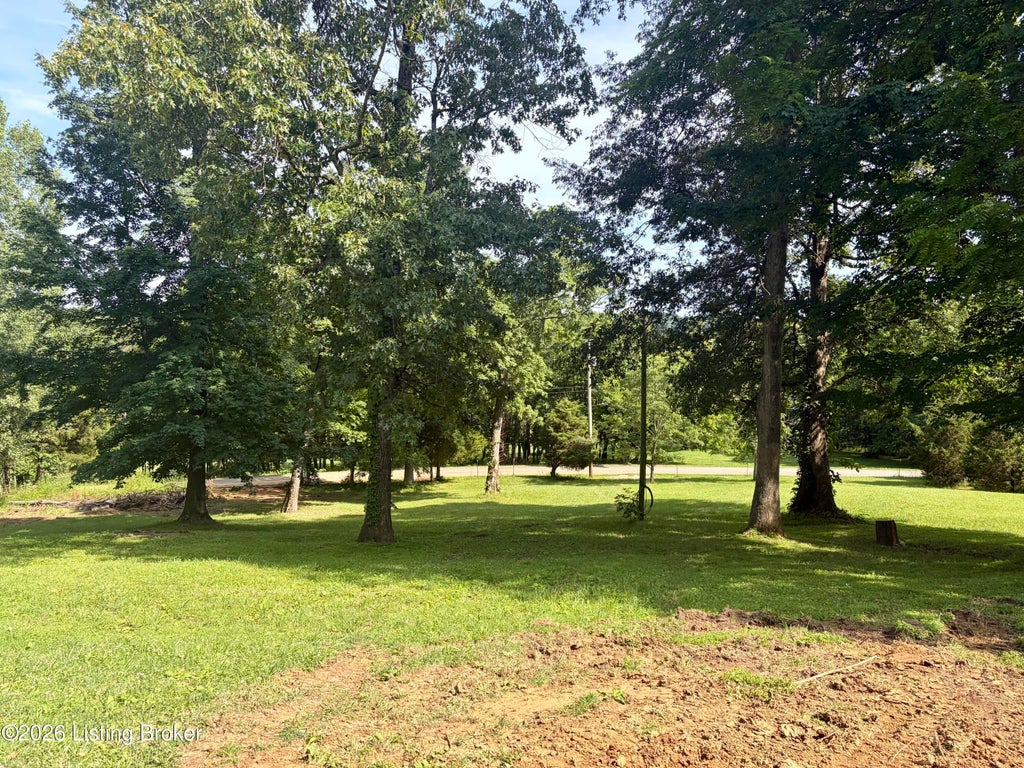 Photo of 630 McCrary Rd, Guston, KY 40142 (MLS # 1721708)
